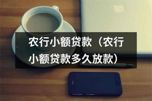 农行小额贷款（农行小额贷款多久放款）