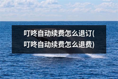 叮咚自动续费怎么退订(叮咚自动续费怎么退费)