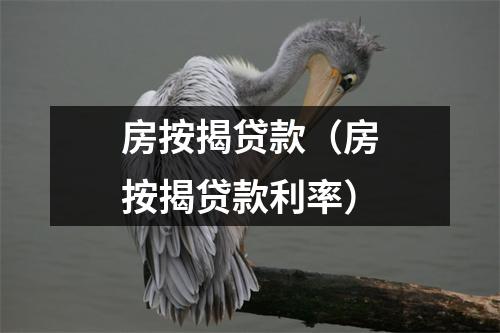 房按揭贷款（房按揭贷款利率）
