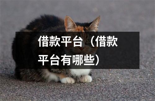 借款平台（借款平台有哪些）