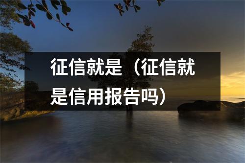征信就是（征信就是信用报告吗）