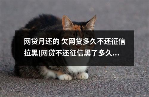 网贷月还的 欠网贷多久不还征信拉黑(网贷不还征信黑了多久才能消除)