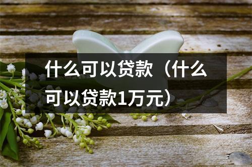 什么可以贷款(什么可以贷款1万元)