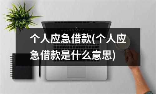 个人应急借款(个人应急借款是什么意思)