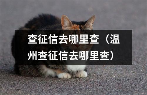 查征信去哪里查（温州查征信去哪里查）