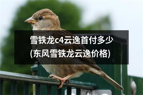雪铁龙c4云逸首付多少(东风雪铁龙云逸价格)