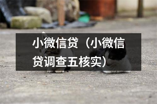 小微信贷（小微信贷调查五核实）
