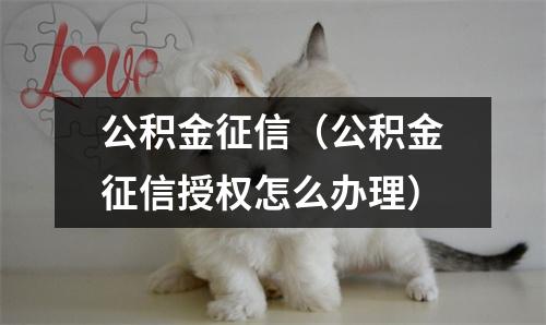 公积金征信(公积金征信授权怎么办理)