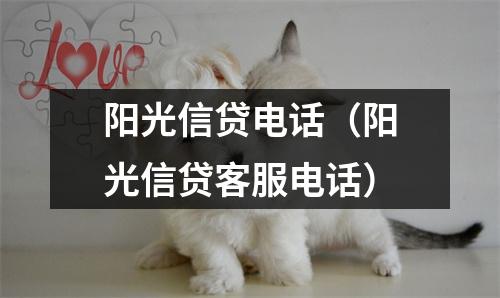 阳光信贷电话（阳光信贷客服电话）