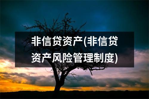 非信贷资产(非信贷资产风险管理制度)
