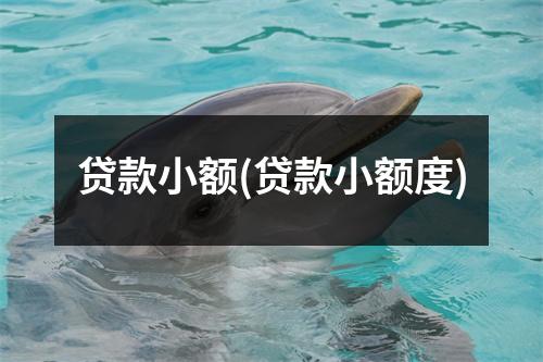 贷款小额(贷款小额度)