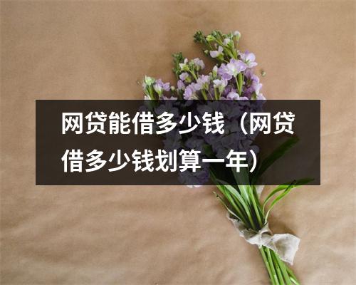 网贷能借多少钱（网贷借多少钱划算一年）
