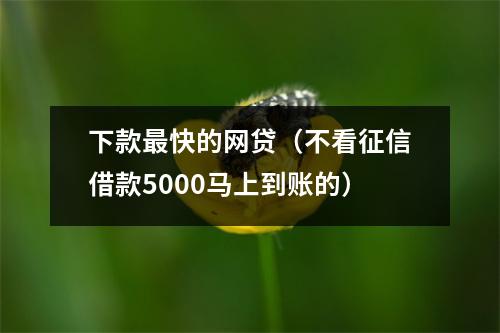 下款最快的网贷(不看征信借款5000马上到账的)
