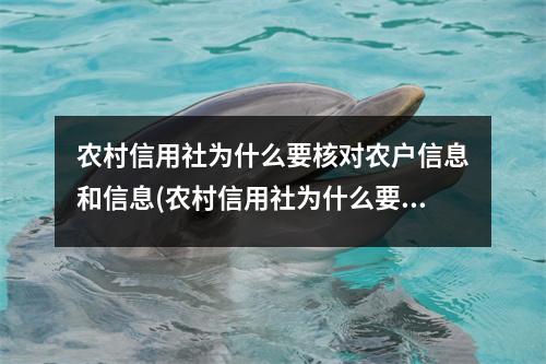 农村信用社为什么要核对农户信息和信息(农村信用社为什么要完善个人信息)