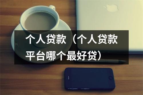 个人贷款（个人贷款平台哪个最好贷）