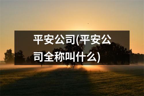 平安公司(平安公司全称叫什么)