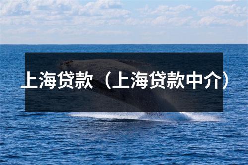 上海贷款（上海贷款中介）