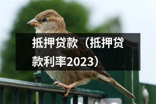 抵押贷款（抵押贷款利率2023）