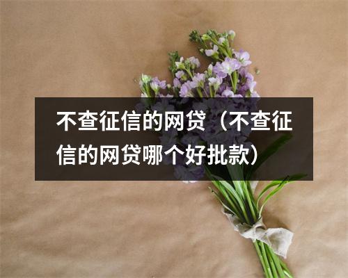 不查征信的网贷（不查征信的网贷哪个好批款）