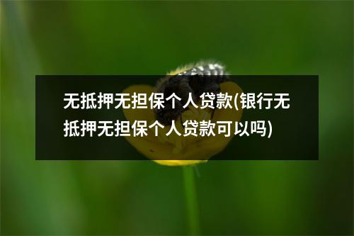 无抵押无担保个人贷款(银行无抵押无担保个人贷款可以吗)