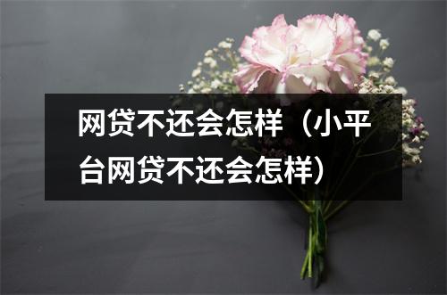 网贷不还会怎样(小平台网贷不还会怎样)