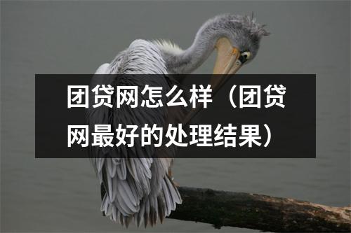 团贷网怎么样(团贷网最好的处理结果)