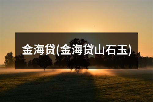 金海贷(金海贷山石玉)