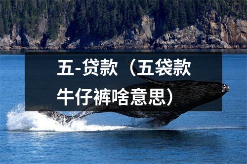 五-贷款（五袋款牛仔裤啥意思）