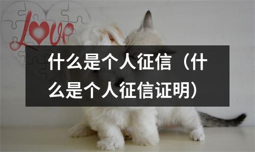 什么是个人征信（什么是个人征信证明）