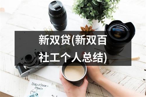 新双贷(新双百社工个人总结)