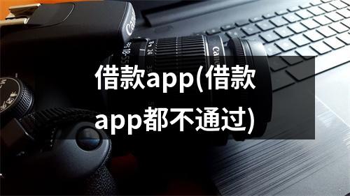 借款app(借款app都不通过)