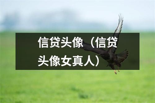 信贷头像（信贷头像女真人）