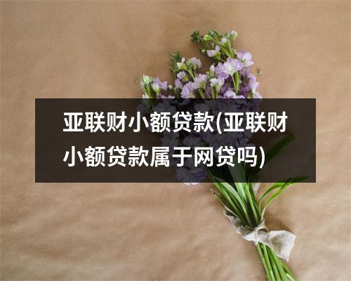 亚联财小额贷款(亚联财小额贷款属于网贷吗)