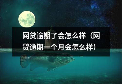 网贷逾期了会怎么样（网贷逾期一个月会怎么样）