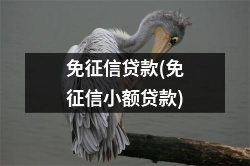 免征信贷款(免征信小额贷款)