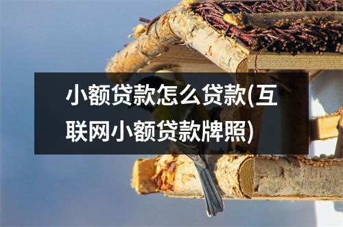 小额贷款怎么贷款(互联网小额贷款牌照)