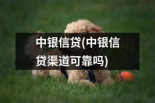 中银信贷(中银信贷渠道可靠吗)