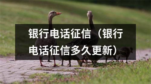 银行电话征信（银行电话征信多久更新）