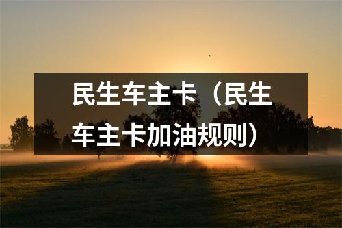 民生车主卡（民生车主卡加油规则）