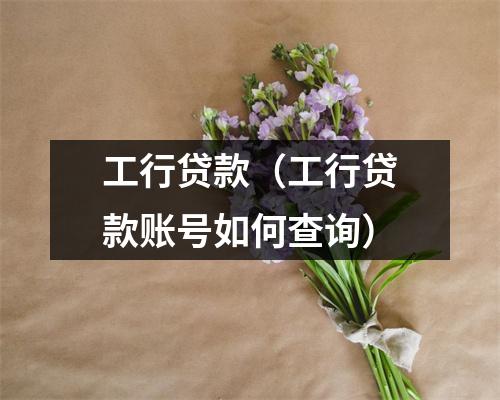 工行贷款(工行贷款账号如何查询)