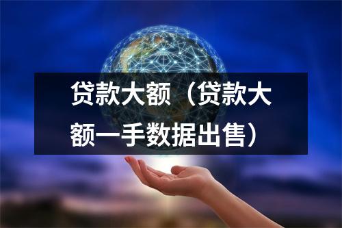 贷款大额（贷款大额一手数据出售）