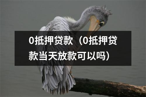 0抵押贷款（0抵押贷款当天放款可以吗）