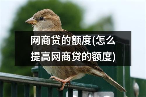 网商贷的额度(怎么提高网商贷的额度)