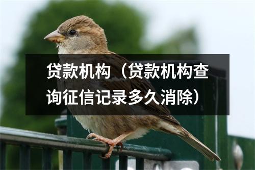 贷款机构(贷款机构查询征信记录多久消除)