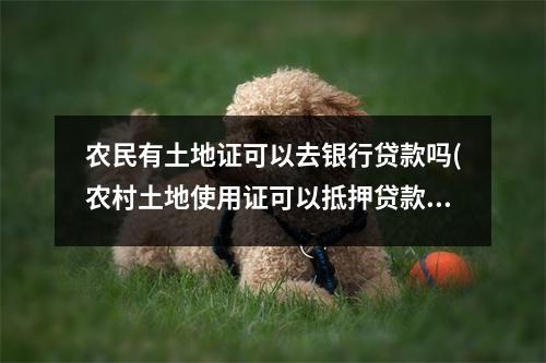 农民有土地证可以去银行贷款吗(农村土地使用证可以抵押贷款吗)