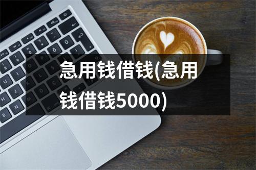 急用钱借钱(急用钱借钱5000)
