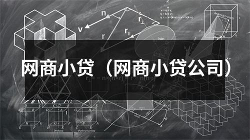 网商小贷（网商小贷公司）