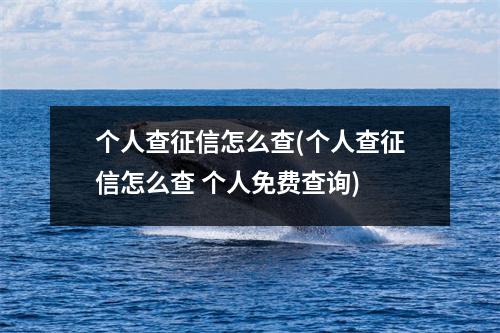 个人查征信怎么查(个人查征信怎么查 个人免费查询)