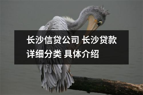 长沙信贷公司 长沙贷款详细分类 具体介绍 