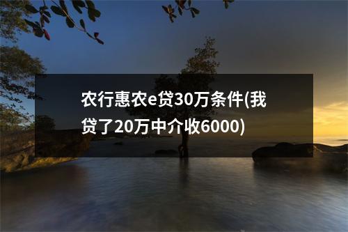 农行惠农e贷30万条件(我贷了20万中介收6000)